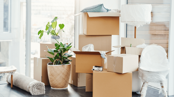 moving -min.png