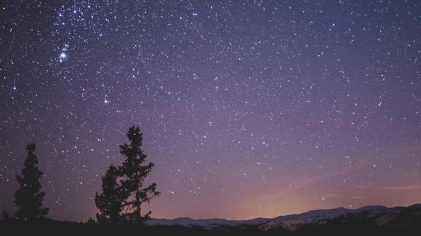 star gazing -min.png